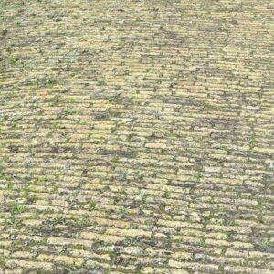 IJsselformaat geel (P93)